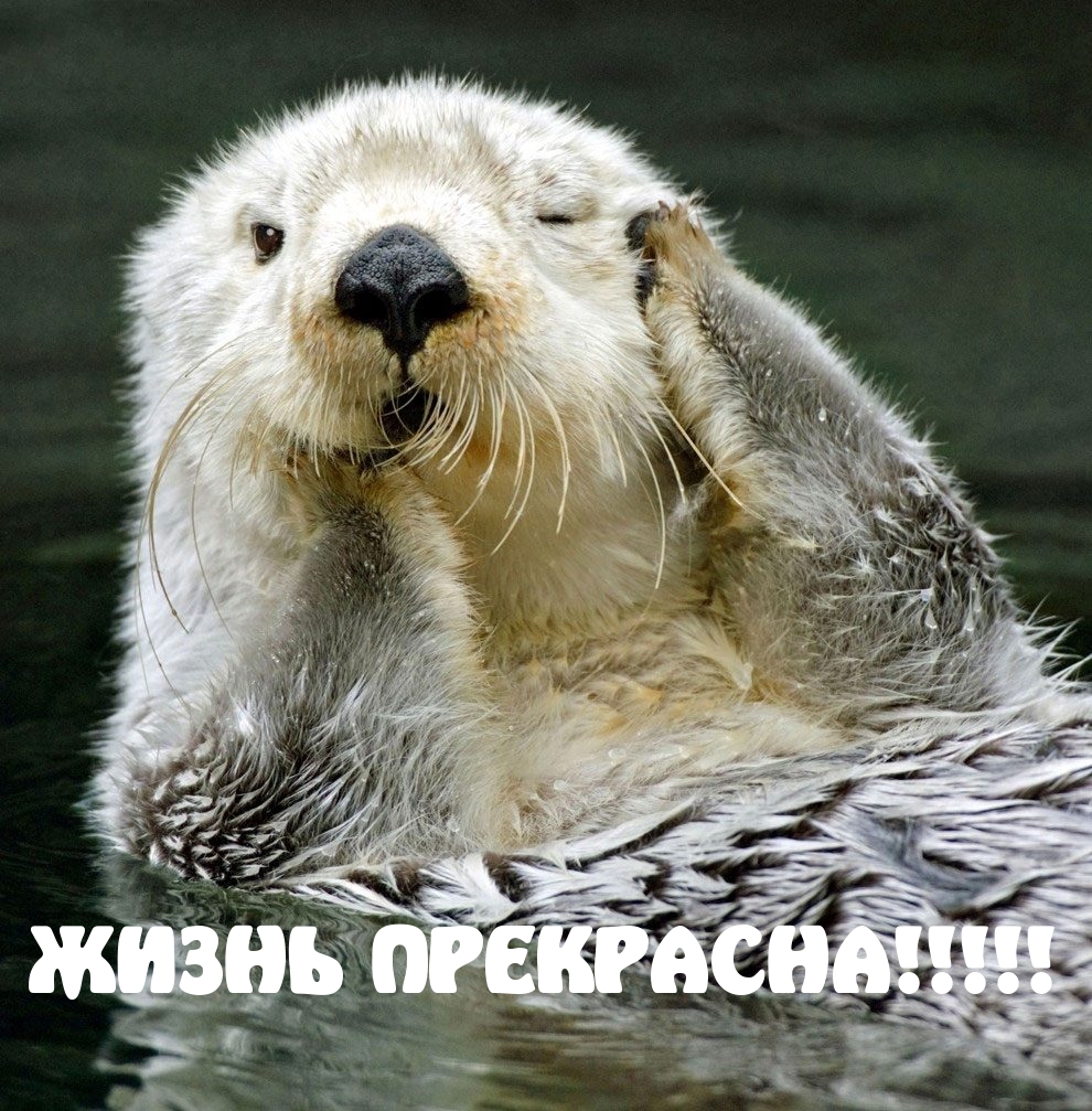 ЖИЗНЬ ПРЕКРАСНА!