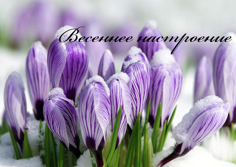 Весеннее настроение !