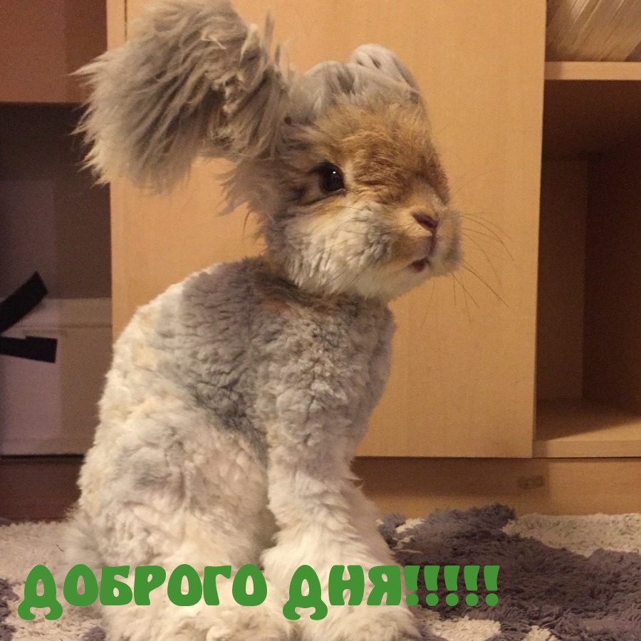 ДОБРОГО ДНЯ!