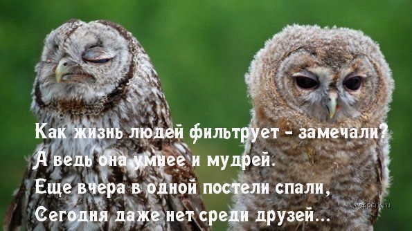 Жизнь людей фильтрует