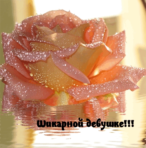 Шикарной девушке!