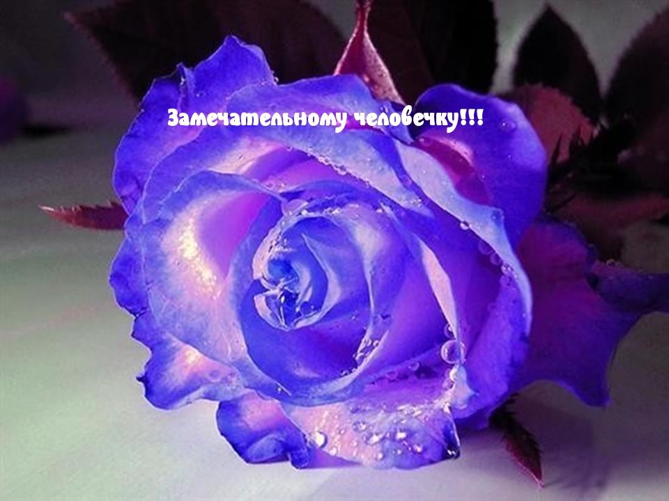 Замечательному человечку!