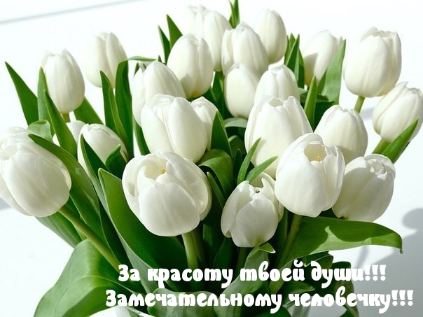 Твоей душе