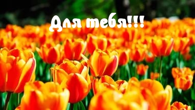 Для тебя!