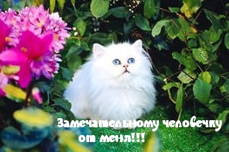 Замечательному человечку
