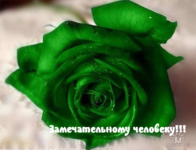 Замечательному человеку!