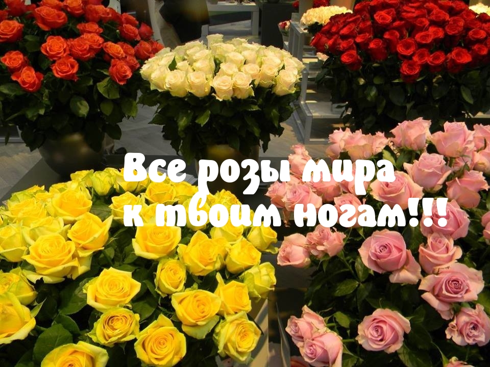 Тебе розы