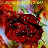 Милой подружке
