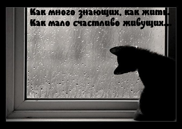 Как мало счастливо живущих