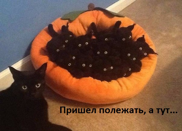 Занята лежанка