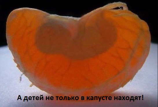 Меня нашли в мандаринке