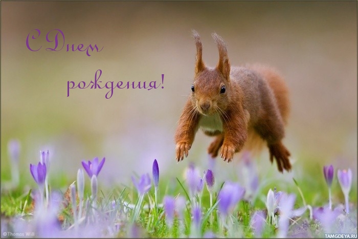 С Днем  рождения!
