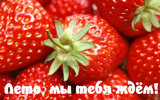 Лето, мы тебя ждём!