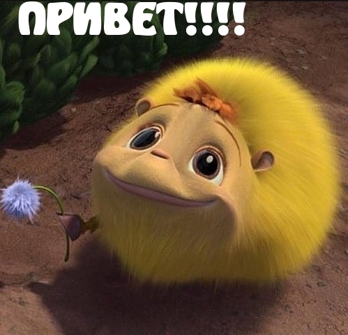 ПРИВЕТ!