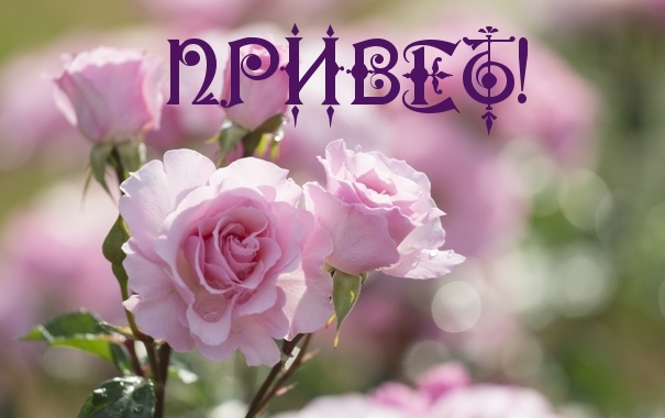 ПРИВЕТ!