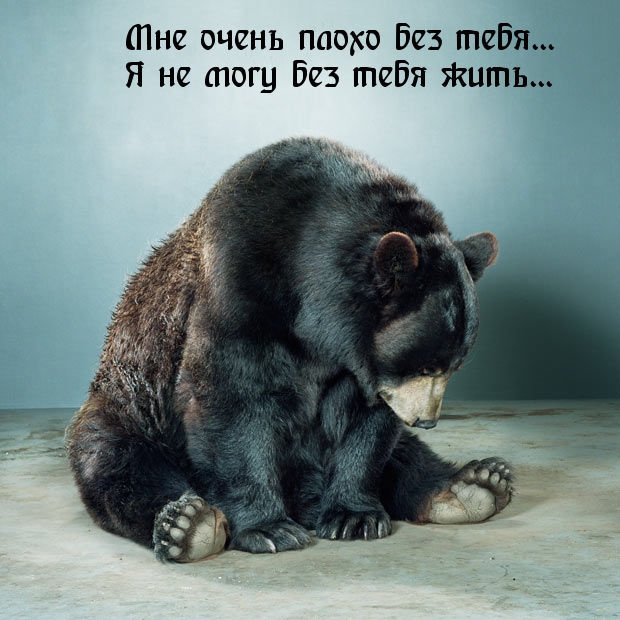 плохо без тебя