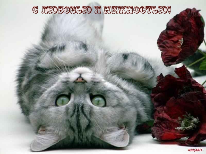 С любовью и нежностью!