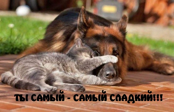 ТЫ САМЫЙ СЛАДКИЙ