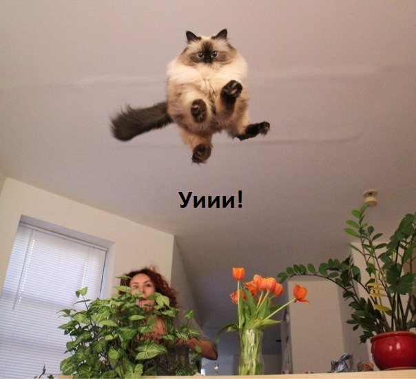 Уииииии!
