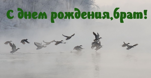 С днем рождения,брат!