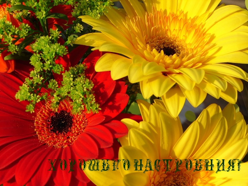 Хорошего настроения!