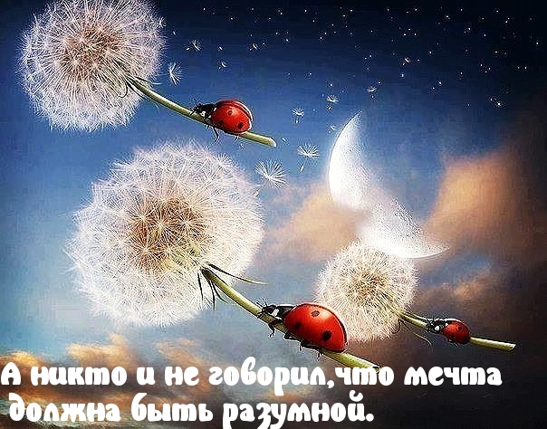 Нормальная ненормальная мечта