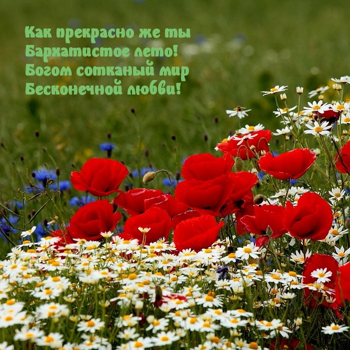 Замечательное лето