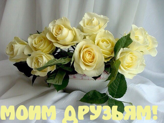 МОИМ ДРУЗЬЯМ!