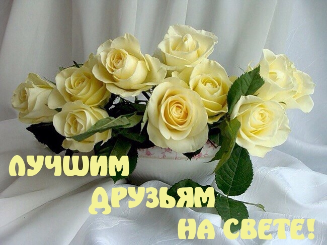 ЛУЧШИМ ДРУЗЬЯМ НА СВЕТЕ!