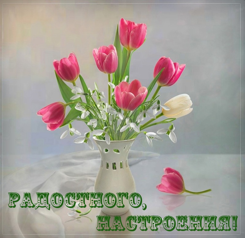РАДОСТНОГО, НАСТРОЕНИЯ!