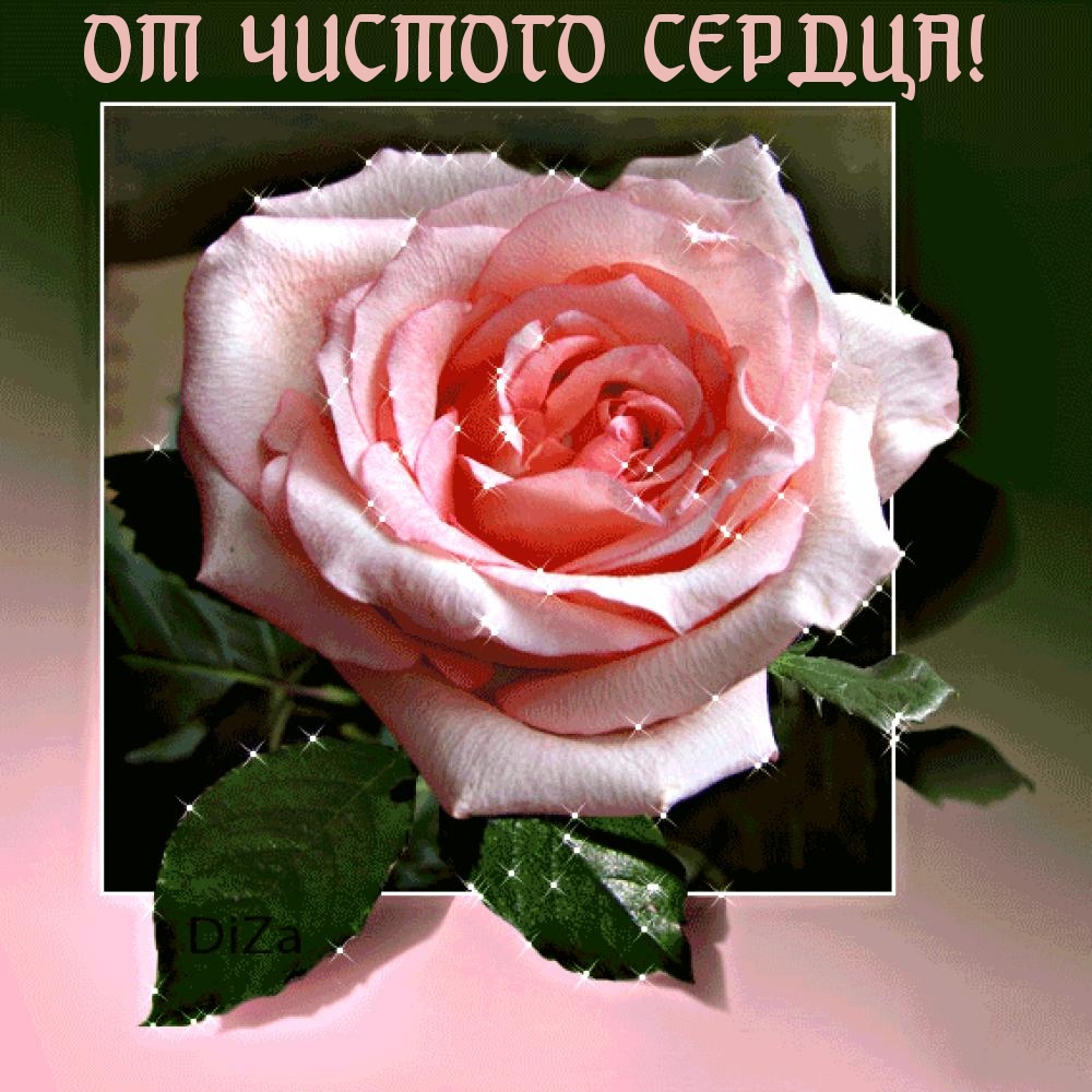 ОТ ЧИСТОГО СЕРДЦА!
