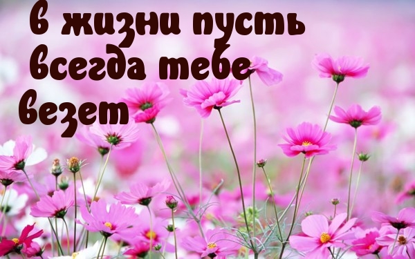 Везения тебе