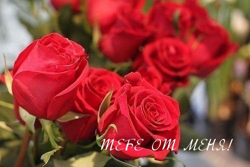 ТЕБЕ ОТ МЕНЯ!