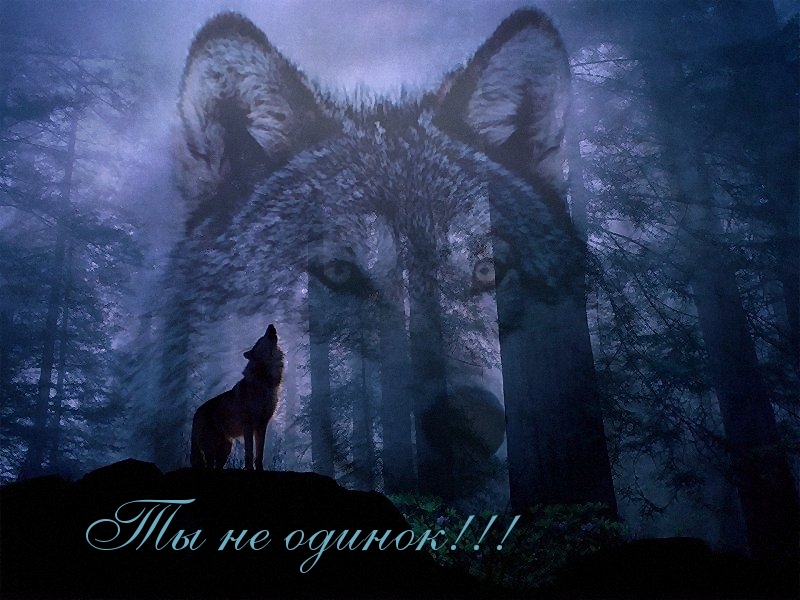 Ты не одинок!
