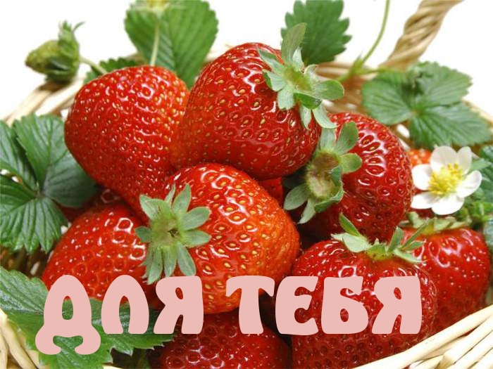 ДЛЯ ТЕБЯ