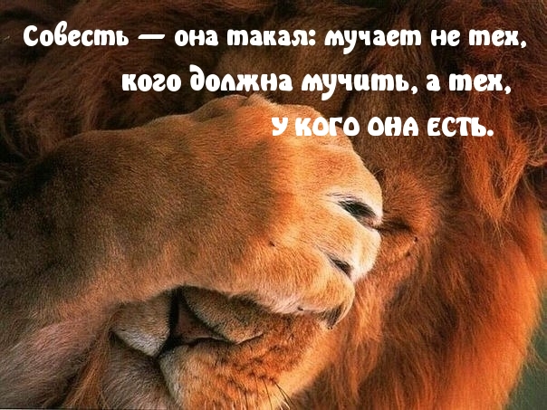 Мучения совести