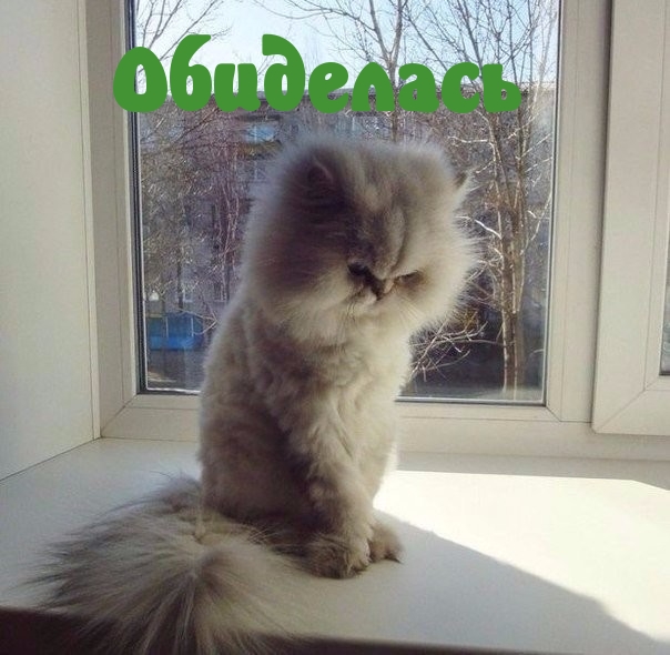 Обиделась