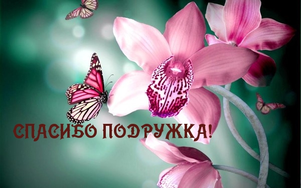 СПАСИБО ПОДРУЖКА!