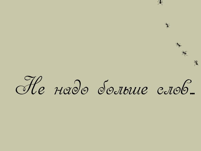 Не надо больше слов
