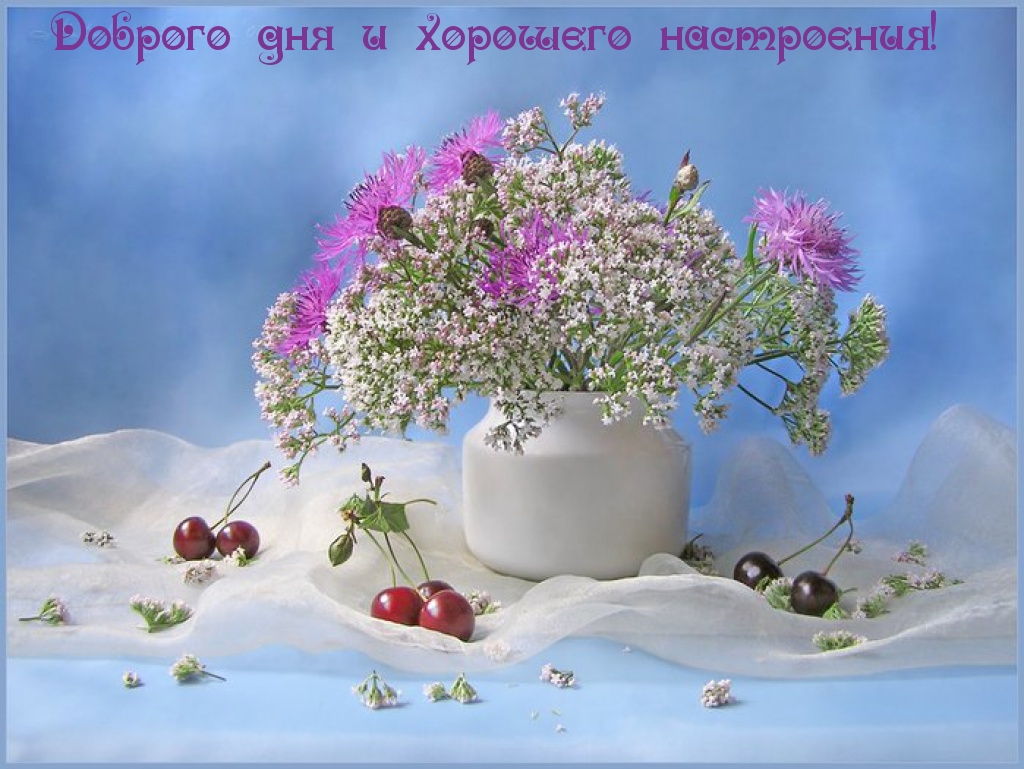 Доброго дня