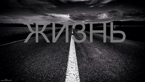 ЖИЗНЬ