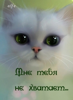 Мне тебя не хватает…