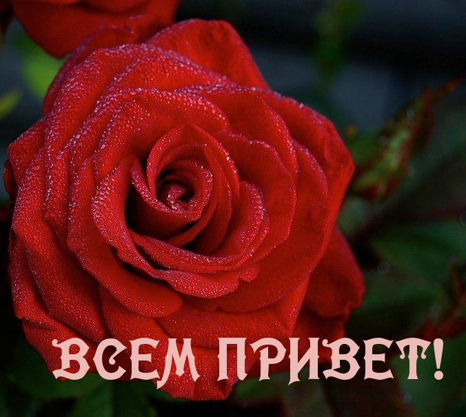 ВСЕМ ПРИВЕТ!
