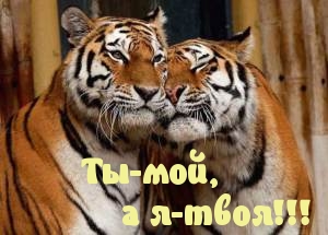 Ты-мой, а я-твоя!