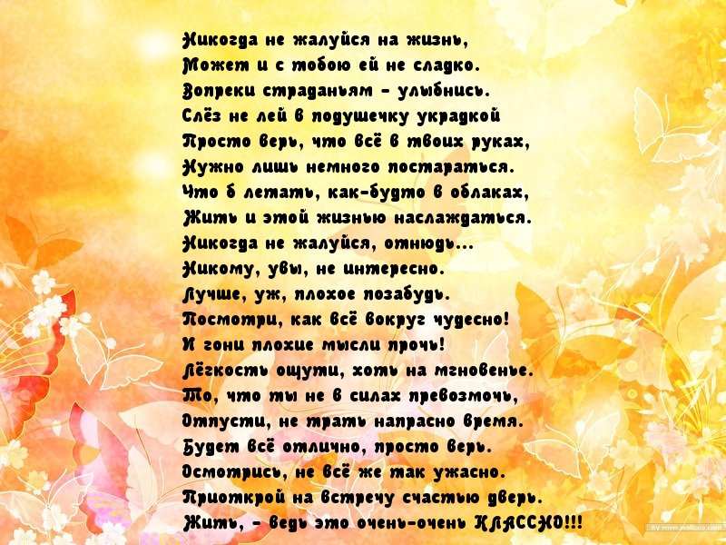 Никогда не жалуйся на жизнь