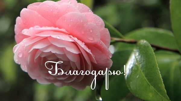 Благодарю!