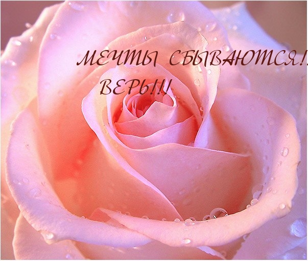 МЕЧТЫ СБЫВАЮТСЯ