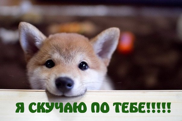 Я СКУЧАЮ ПО ТЕБЕ!