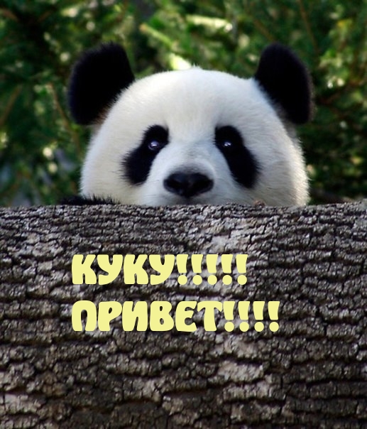 ПРИВЕТ!