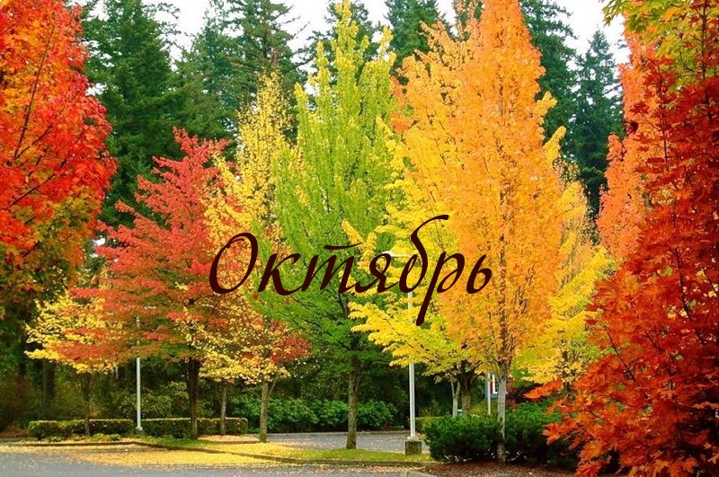 Октябрь